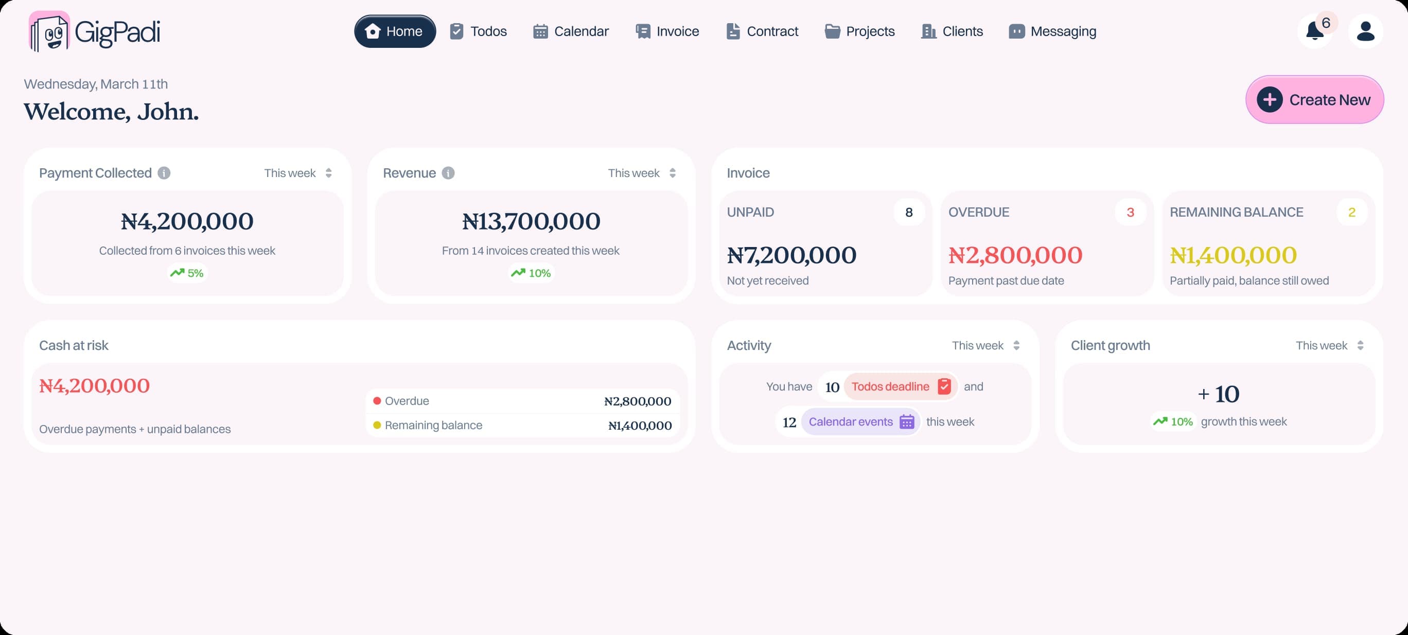 GigPadi dashboard preview